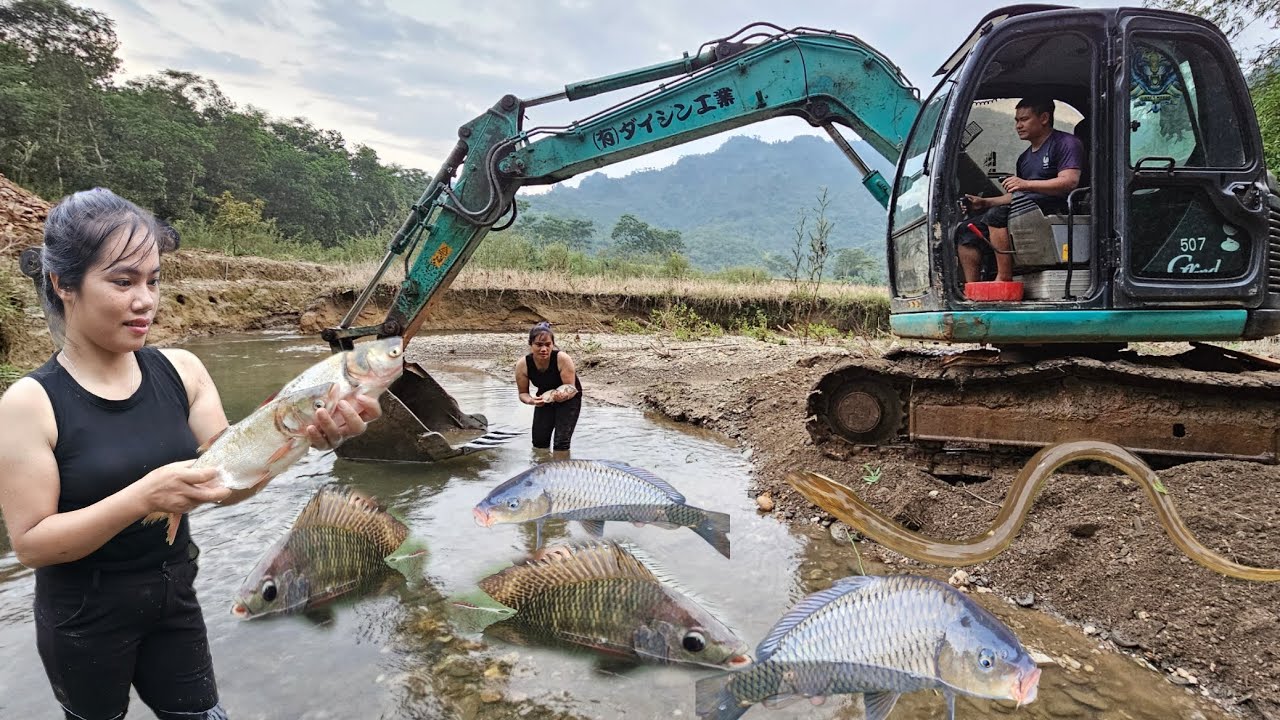 excavator Water discharge ,Catch all the fish in the puddle.The excavator covers the pond.
