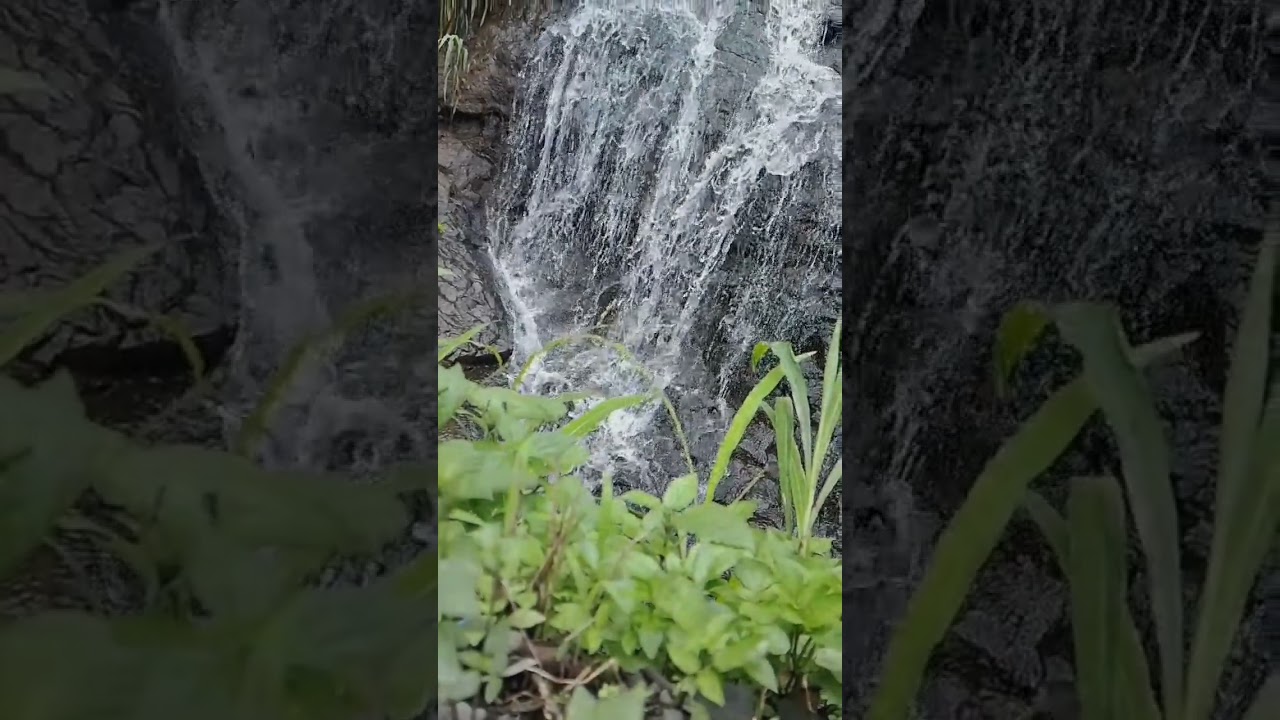 In the presence of nature🙃😌🫶💓