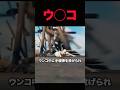 トレイに手榴弾を投げ込まれな時の対処法 #shorts