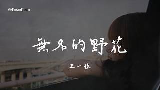 王一佳 - 無名的野花『我想要做那山中無名的野花 長在野草間看陶淵明種豆南山下 我從來都不怕那風吹和雨打 李白寫的詩我偷偷的記下』【動態歌詞/PinyinLyrics】