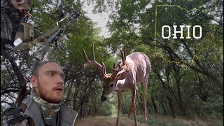OHIO Public Land 2025 (CHAOS)