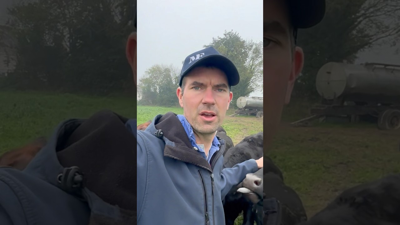 🥩Beef production IS sustainable! Watch to find out why ❓