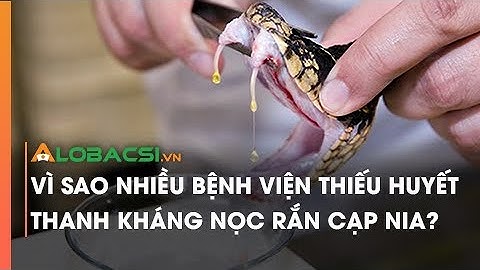 Vì sao nhiều bệnh viện thiếu huyết thanh kháng nọc rắn cạp nia?