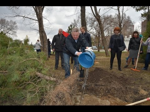 Общекраевой Субботник Прошел В Регионе