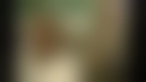 Taylor speech, peacekeepers, US & rebels discuss opening port