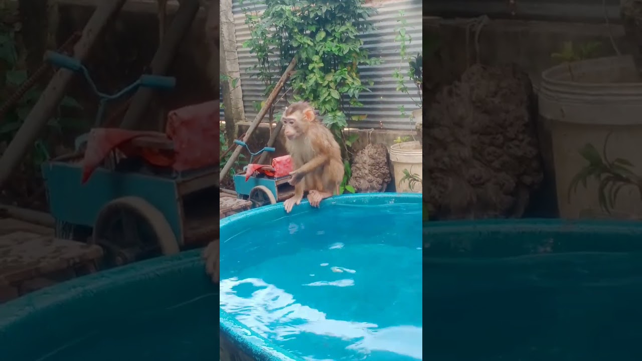 Sit waiting mommy for bath 
