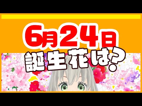 【花言葉】6月24日の誕生花は？／花白もか