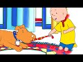 Caillou e o Cachorro Brincalhão | Caillou em Português - WildBrain