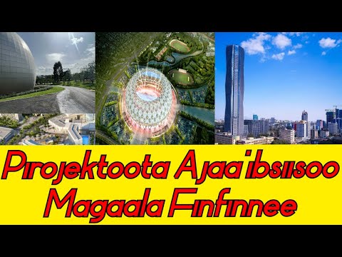PIROJEKTOOTA AJA IBSIISOO MAGAALA FINFINNEE