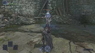 Executor dash attack can Parry | Nightreign