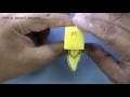 Carving the Maxillary Central Incisor Part 01