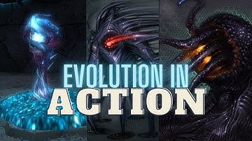From Phaaze to Dark Aether: Evolution in Action