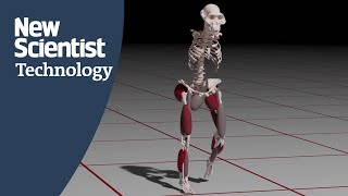 How fast could this ancient human ancestor run?