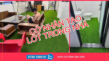 CỎ NHÂN TẠO LÓT SÀN TRONG NHÀ | CỎ NHÂN TẠO SG