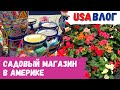 Садовый магазин в США // Где купить желтые розы // Влог США