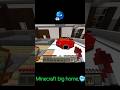 Minecraft big home 🥶