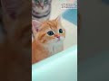 Kitten Tries to Pass Airport Security… With a Tiny Passport! 🐱✈️