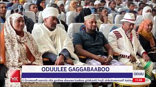 Ameco Hibir Oduulee Gaggabaaboo 22042018