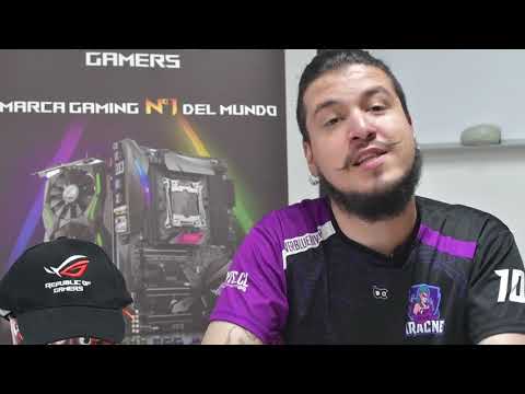 Entrevista Aracne Esports & ASUS Republic of Gamers