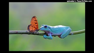 Muteminium - The Leser Den