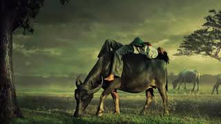 Status WhatsApp Islami | Hirup Jeung Kahirupan | Budak Angon Menes