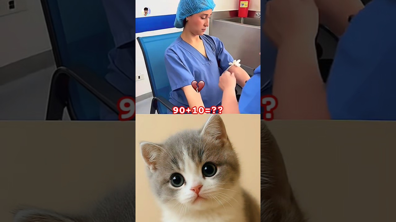 Tiny Furry Antics 😸