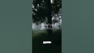 قران كريم ارح قلبك وسمعك #قران_في_دقيقة #رزكار_الكردي #quran #قرآن @قران_في_دقيقة