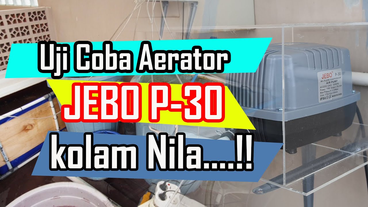 Aerator JEBO-P30 | Uji Coba Aerator Baru Pada Kolam Nila Rumahan..