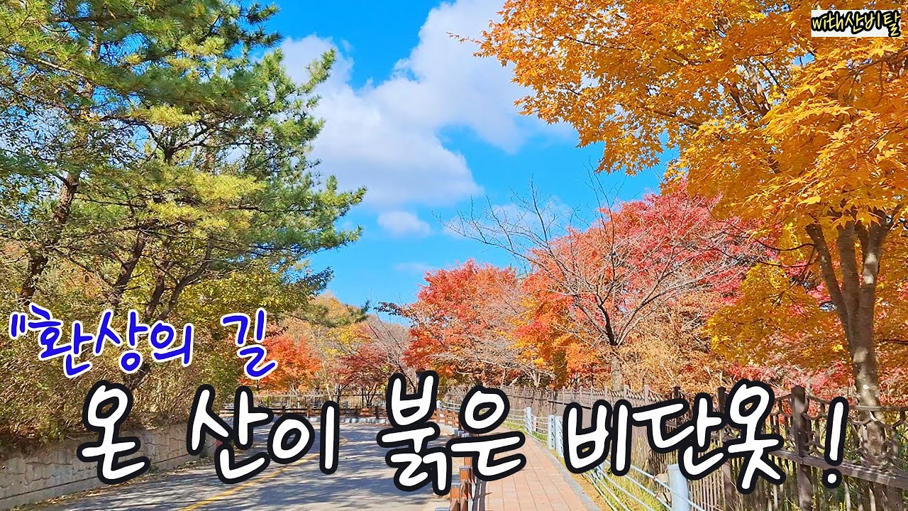 무주 적상산 온 산이 붉은 단풍 적상호 산정호수길 트레킹 안국사 안렴대 등산, 천일폭포, 머루와인동굴,적상산사고