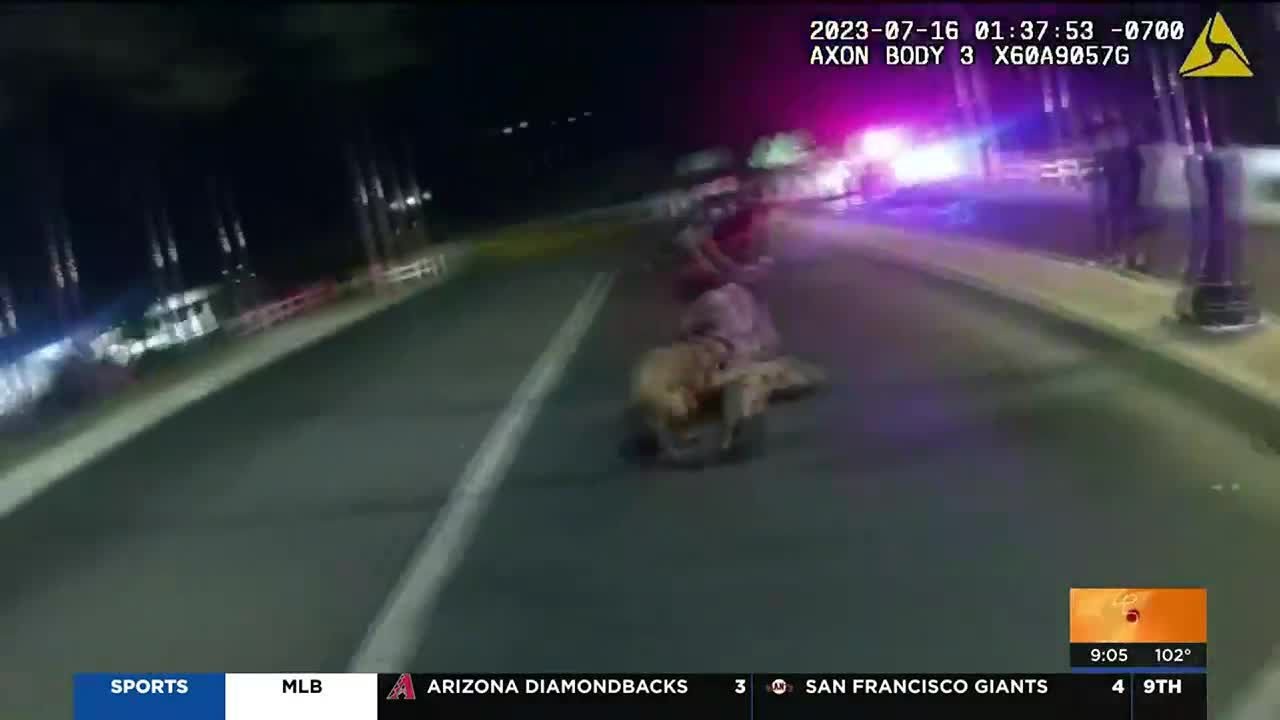 Bodycam shows Maricopa police using K9 to take down violent suspect