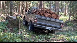 Old ford f250 pulls huge tree, Skidding logs