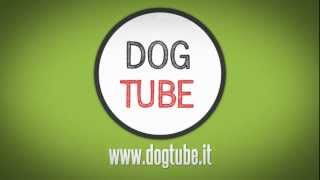 Dogtube
