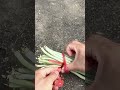 Vegetable Tying Knot 🪢 Secure & Easy to Tie 🛡️ Neat Veggie Storage ✅