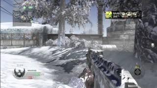 Cod: Black Ops. TDM on Array(speed through)