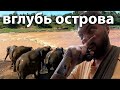 По Шри Ланке на тук-туке. Слоновий питомник Пиннавала