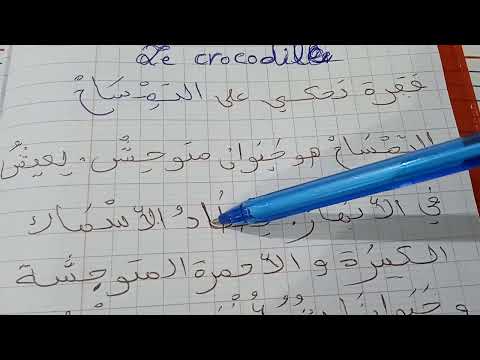 Production écrite Le Crocodile