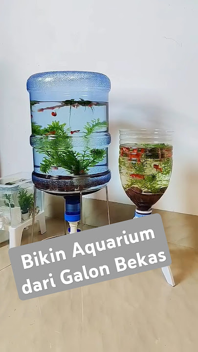 Bikin Aquarium dari Galon Bekas #galonbekas #galonair #aquarium #ikanhias #ikanhiaskoki #kreatifitas