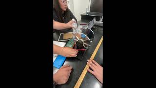 lab report 04