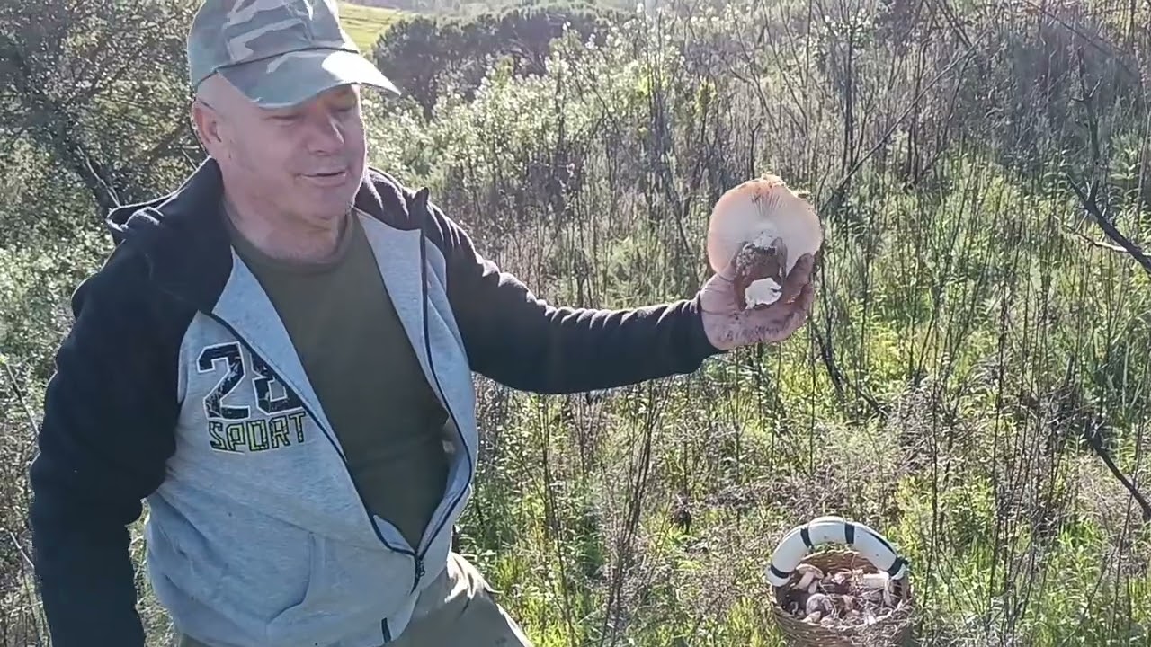 Gurumelos 2023 ¡¡¡ Sierra de (HUELVA)