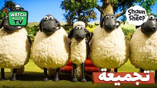 🤫 كشف متعة المسبح السرية 👨‍🌾 المرح المخفي عن المزارع يفشل! 🐑✨ | Shaun the Sheep screenshot 5