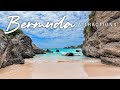 THE DAPPER DOG presents Relax on Bermuda's Beaches
