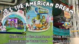 Water Slides and Smiles: Our Dream Works Water Park Experience