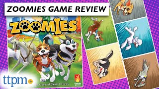 How to Play Zoomies - A Game for Dog Lovers!