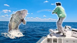 I Was Just Trying to Catch Bait… Then THIS Happened! [Sea Bass vs Red Snapper Taste Test]