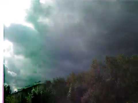 Video: Dagestan Pollen Eater - A Thunderstorm Of The Harvest