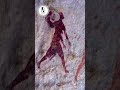أكبر أسرار الكون كهوف تاسيلي الغامضة بالجزائر نقوش عمرها 30 ألف سنة أكبر أسرار الكون كهوف تاسيلي الغامضة بالجزائر نقوش عمرها 30 ألف سنة