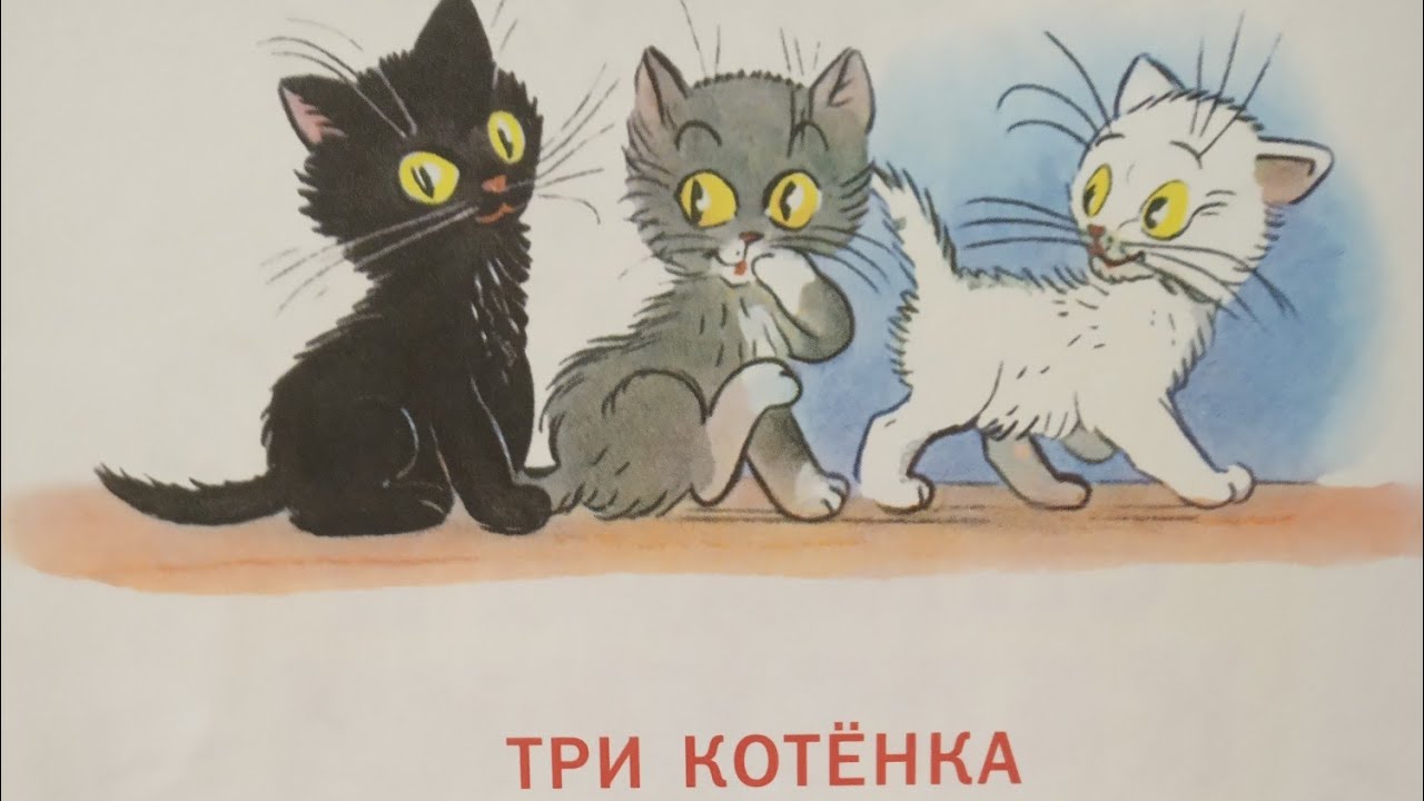Федин котенок 3 полностью. Три котенка сказка Сутеев. Сутеев в. "три котенка".