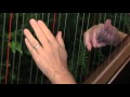 A Walk in the Woods (2/3) Student Harp Solos by Kathryn Cater