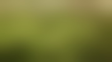 Green Crack flower week 3. DwC growing