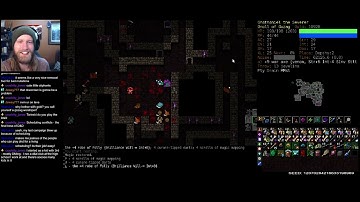 DCSS: 15 Rune Gnoll - GnWn Part 11 | Dungeon Crawl Stone Soup 0.29